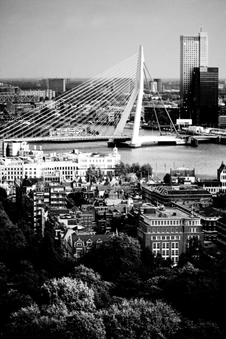 Rotterdam Skyline