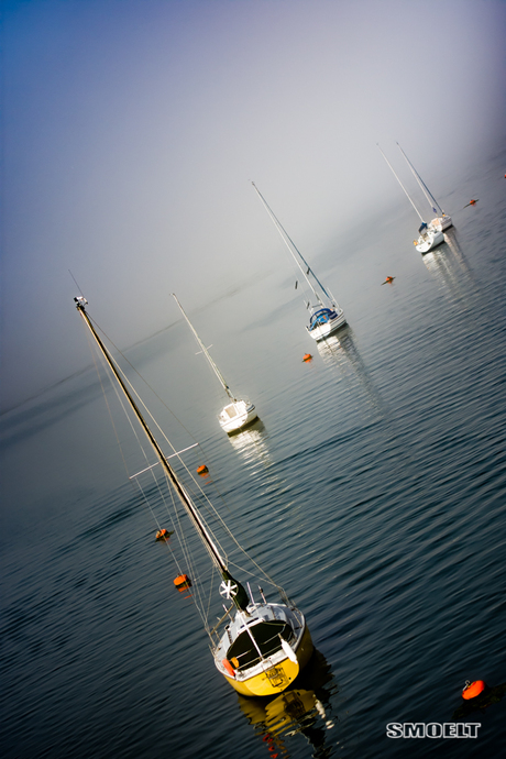 Sailing @ Isle of Wight