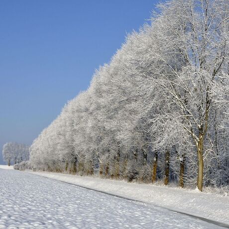 Winterslandschap.