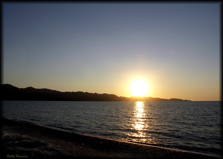 Sunset Calvi...