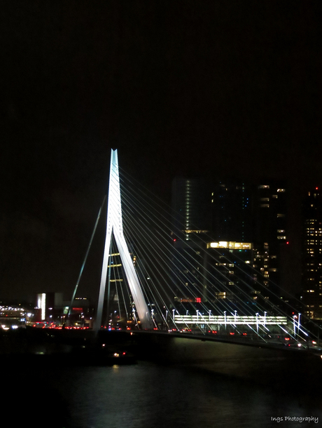 Rotterdam 5