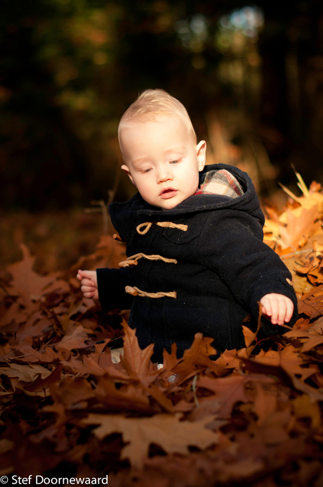 Playing with Leaves_autumn 2015