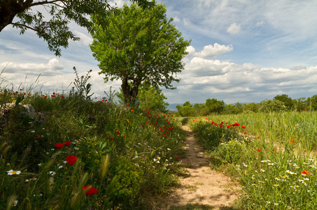 Landschap in Noord Spanje