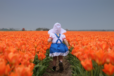 oranje boven + fijne koningsdag + hollands bloemenmeisje tussen de oranje tulpen