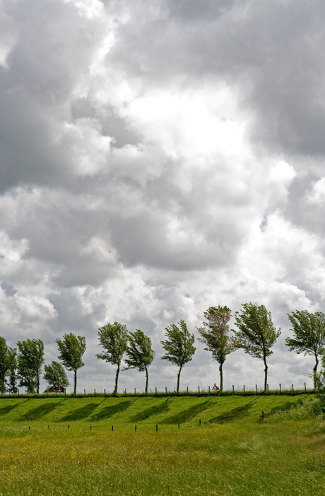 Zuiddijk