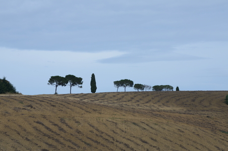 Toscane