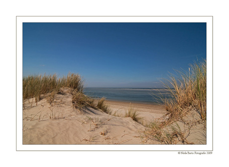 Ameland 3