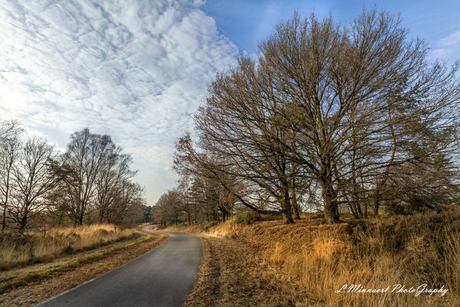 Terhaegendoornheide.