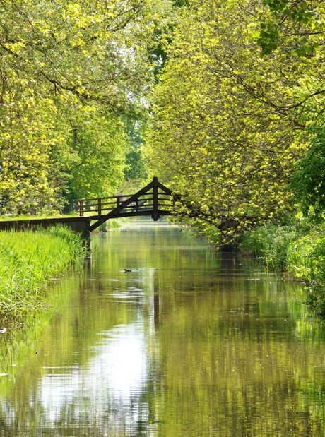 Lente om de hoek