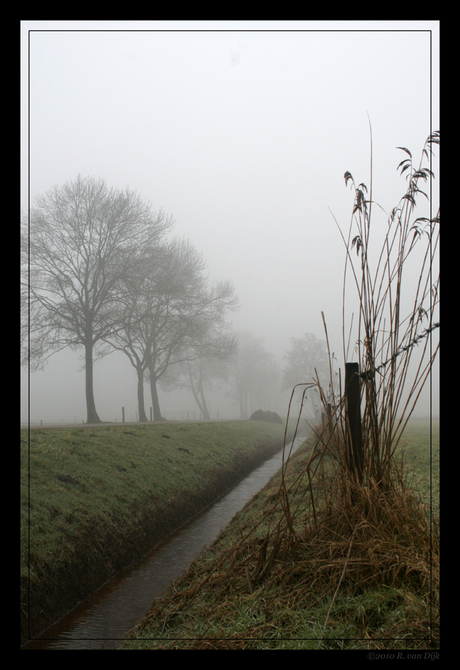 Mist (2)