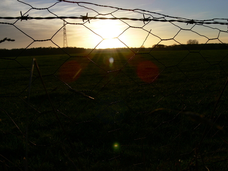 Boeren veld