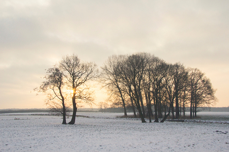 snowy day