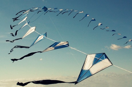 Blue kites