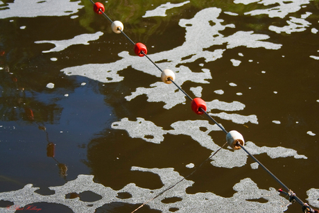 Rood, wit en bl.....