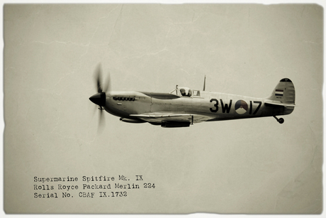 Spitfire