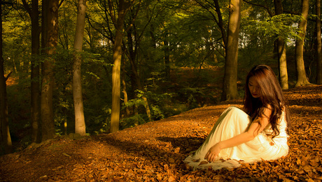 Enchanted Forest 019