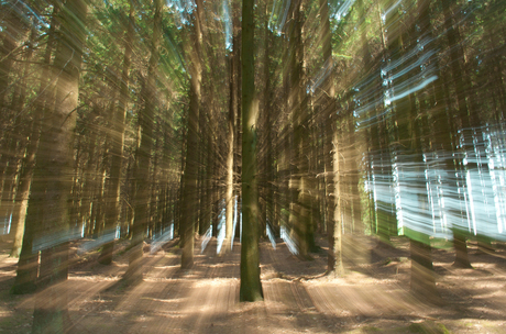 Ardennen