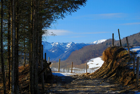 winterwandeling op Kessel Alm 3