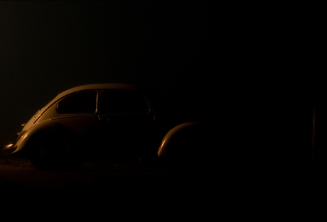 Beetle in the night