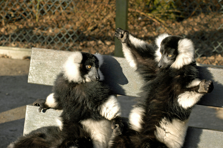 Ik zweer het je, hij was zoooo groot