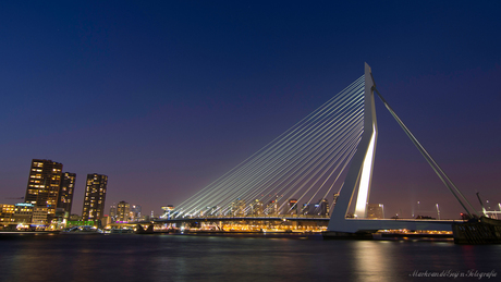 Rotterdam Erasmusbrug