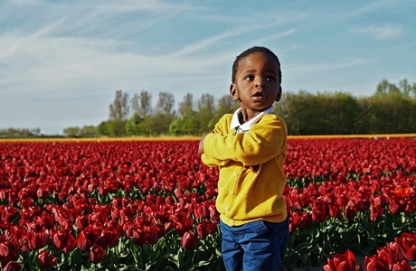 Van vreemde bodem