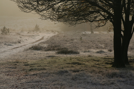 Uchelse Veld