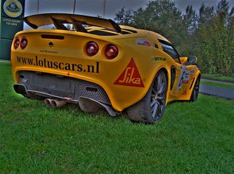 Lotus in HDR