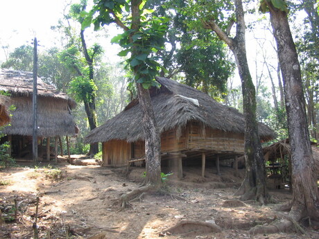 Huizen in de jungle