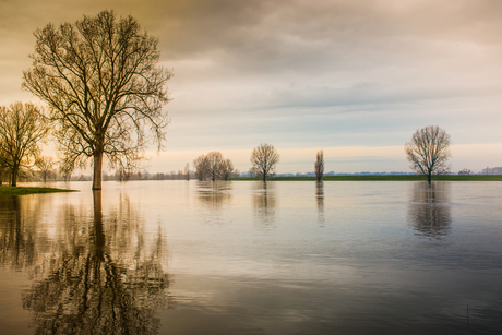 hoog water in de maas