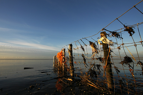 Wad bij Moddergat