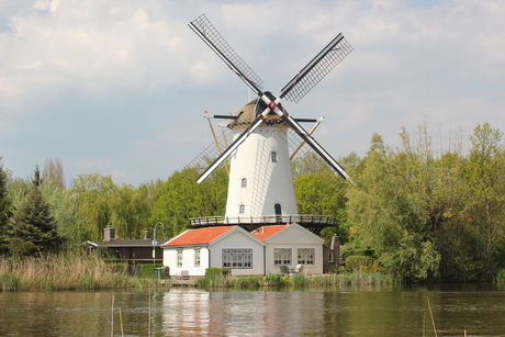 Molen langs de Rotte, in Rotterdam.