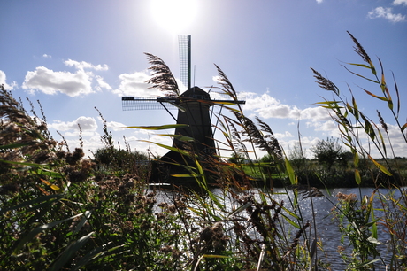 kinderdijk