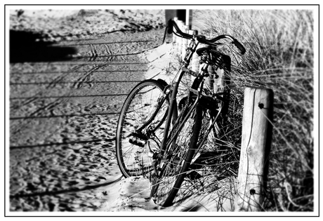 naar het strand