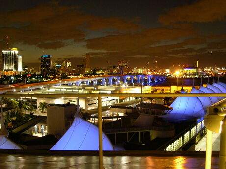 Miami by Night