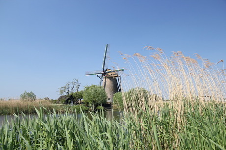 Kinderdijk