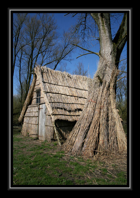 Griendhuisje in Biesbosch