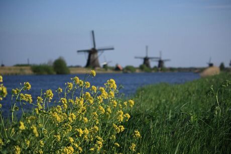 Kinderdijk