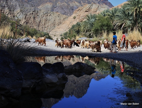 Wadi in Oman