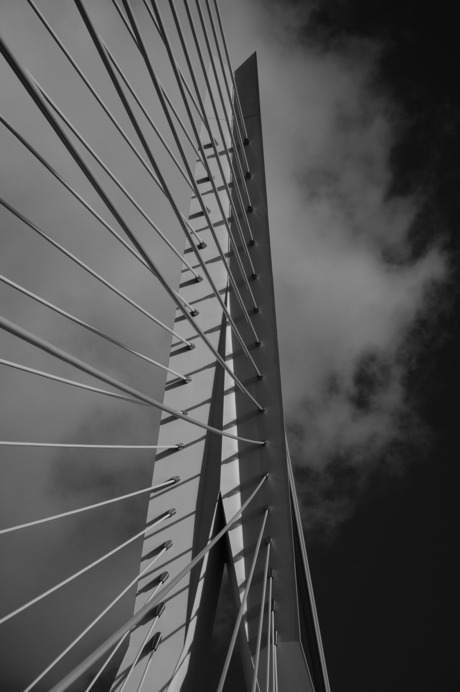 Andere tuigen Erasmusbrug