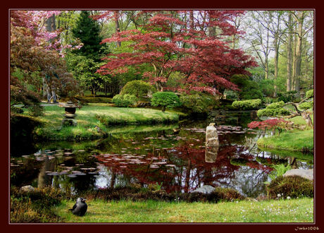 Janpanse tuin in Clingendael