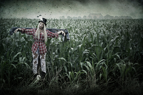The Scarecrow...