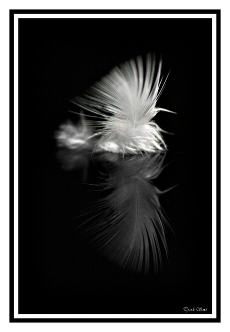 Feather light reflection