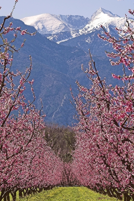 Voorjaar in de Pyreneeen