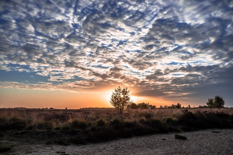 Balloërveld 2