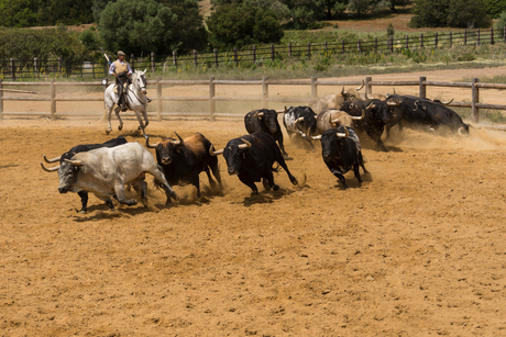 Andalusië 8