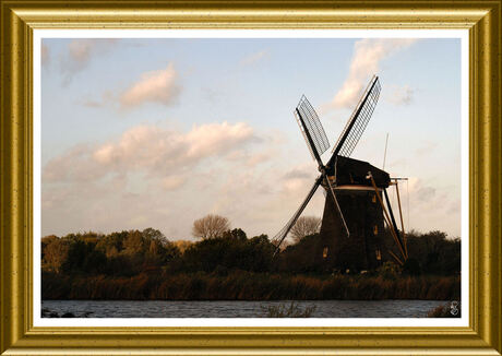 Molen aan de Rotte