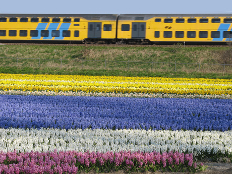 bollen-en-trein