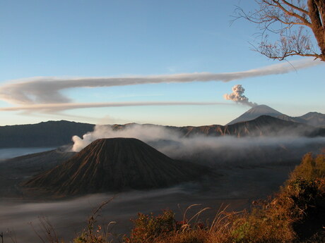 Bromo-Java