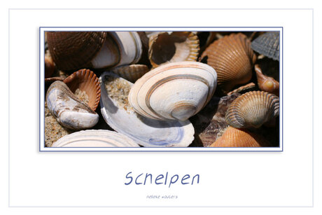 Schelpen